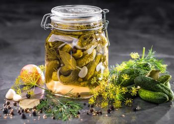 Was kann man Leckeres mit Gewürzgurke machen? 15+ kreative Rezeptideen