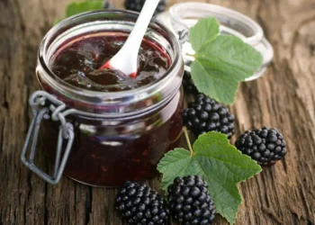 Was kann man Leckeres mit Brombeeren machen?