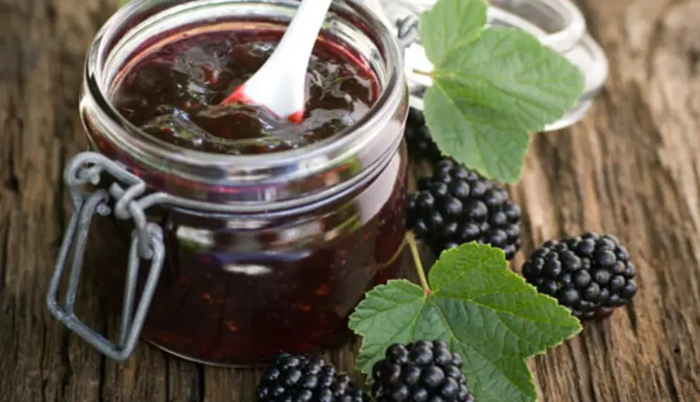 Was kann man Leckeres mit Brombeeren machen?