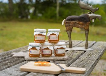 Was kann man Leckeres mit Moltebeere machen? Die besten Rezepte und Ideen für die nordische Goldbeere