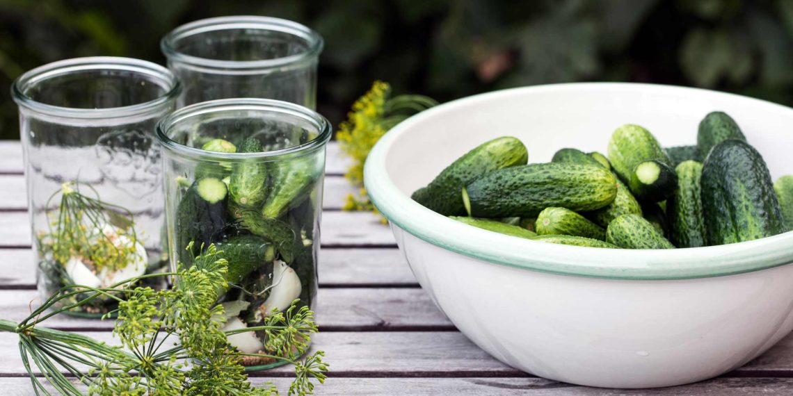 Was kann man Leckeres mit Spreewaldgurke machen? Die Besten Rezepte & Ideen