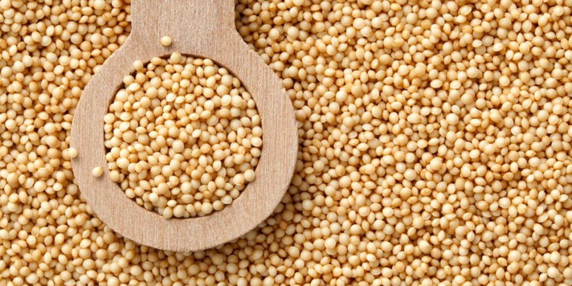 Was kann man Leckeres mit Amaranth machen? Die besten Rezepte und Ideen
