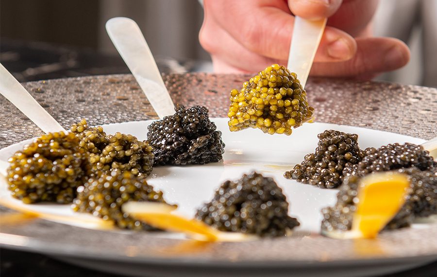 Was kann man Leckeres mit Fischrogen machen: Die besten Rezepte und Zubereitungstipps