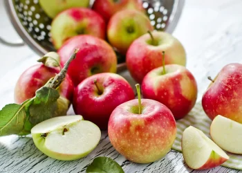 Was kann man Leckeres mit Äpfel machen: Die ultimative Rezeptsammlung