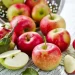 Was kann man Leckeres mit Äpfel machen: Die ultimative Rezeptsammlung