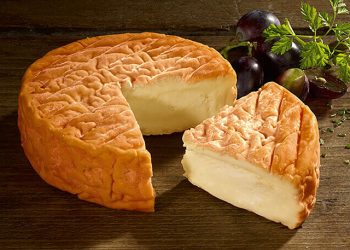 Was kann man Leckeres mit Rotschimmelkäse machen? 15+ Rezeptideen für echte Käseliebhaber