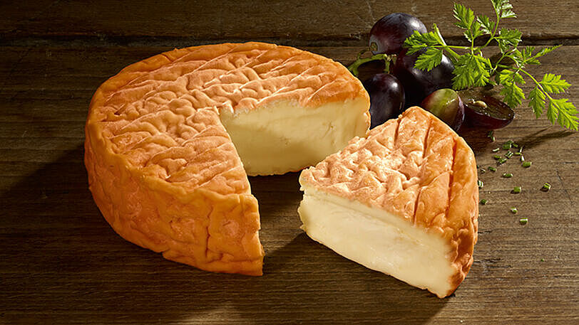 Was kann man Leckeres mit Rotschimmelkäse machen? 15+ Rezeptideen für echte Käseliebhaber