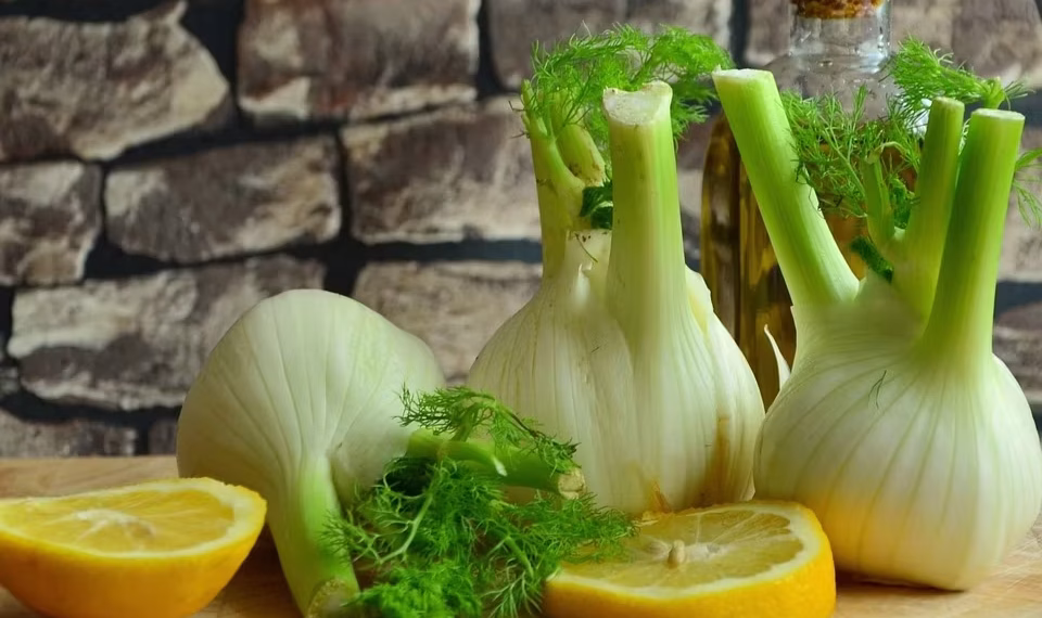 Was kann man Leckeres mit Fenchel machen: Vielseitige Rezeptideen für jeden Geschmack