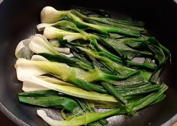 Was kann man Leckeres mit Frühlingszwiebel machen? 15+ Kreative Rezeptideen