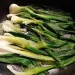 Was kann man Leckeres mit Frühlingszwiebel machen? 15+ Kreative Rezeptideen