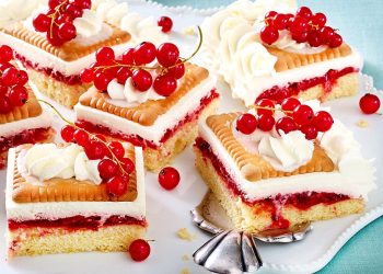 Was kann man Leckeres mit Johannisbeere machen?