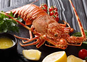 Was kann man Leckeres mit Languste machen: Die ultimative Rezept- und Zubereitungsanleitung