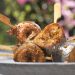Was kann man Leckeres mit Hering machen? Die besten Rezepte und Zubereitungsarten