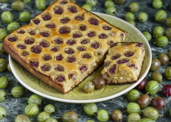 Was kann man Leckeres mit Stachelbeere machen? Die besten Rezeptideen für die säuerlich-süße Beere