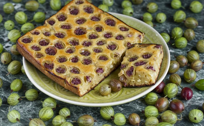 Was kann man Leckeres mit Stachelbeere machen? Die besten Rezeptideen für die säuerlich-süße Beere